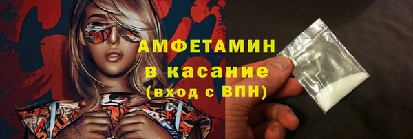 шишки Верхний Тагил