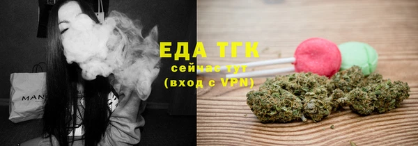 шишки Верхний Тагил