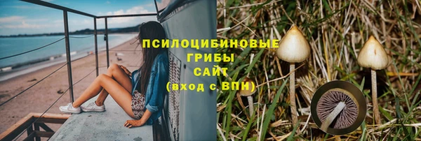 шишки Верхний Тагил